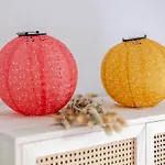 Strandperle In Premium Lage Am Fuer Urlaub Und Workation Mit Hundestrand