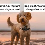 Strandperle In Premium Lage Am Fuer Urlaub Und Workation Mit Hundestrand * Lathum