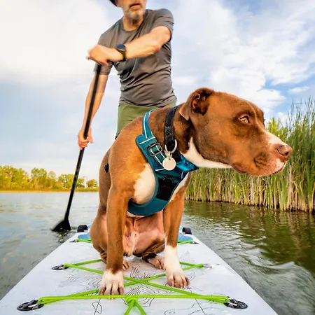 Strandperle In Premium Lage Am Fuer Urlaub Und Workation Mit Hundestrand Дом отдыха *