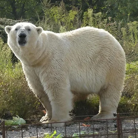 Strandperle In Premium Lage Am Fuer Urlaub Und Workation Mit Hundestrand Дом отдыха