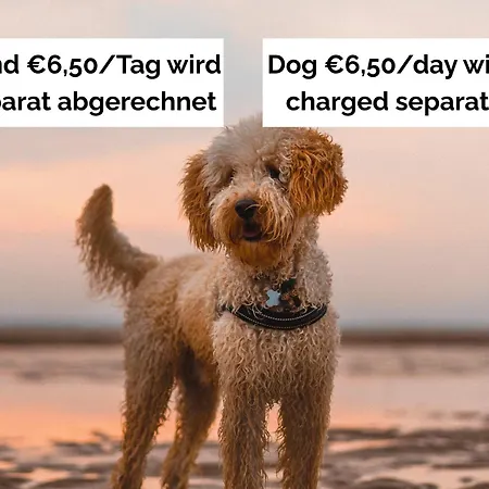 Strandperle In Premium Lage Am Fuer Urlaub Und Workation Mit Hundestrand * Lathum