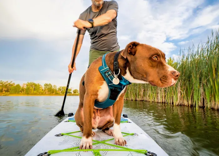 Strandperle In Premium Lage Am Fuer Urlaub Und Workation Mit Hundestrand Vakantiehuis *