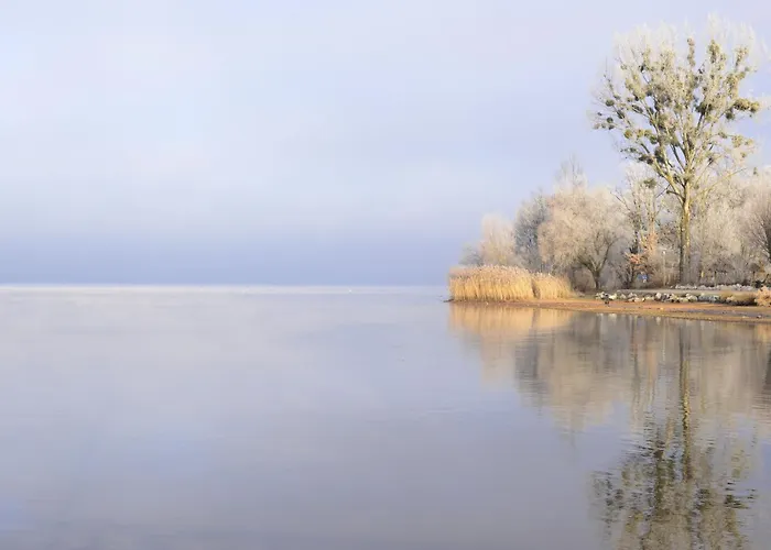 Strandperle In Premium Lage Am Fuer Urlaub Und Workation Mit Hundestrand * Lathum