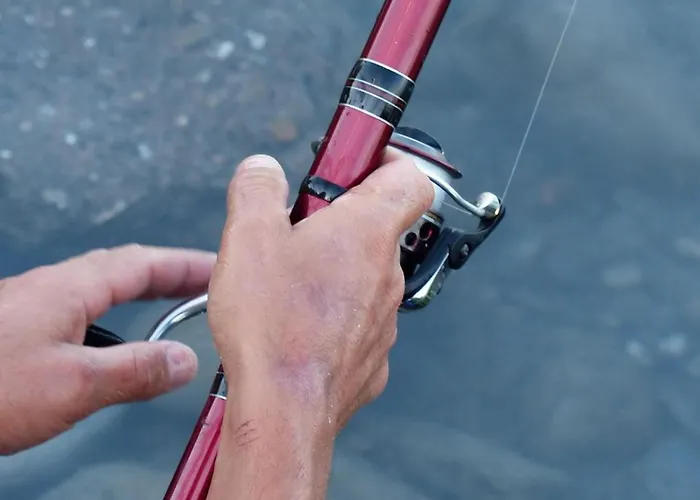 Strandperle In Premium Lage Am Fuer Urlaub Und Workation Mit Hundestrand