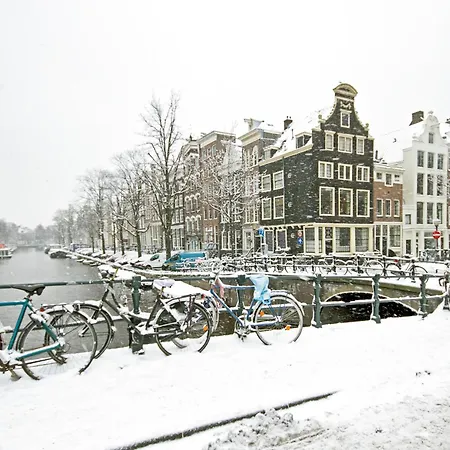 Strandperle In Premium Lage Am Fuer Urlaub Und Workation Mit Hundestrand * Lathum