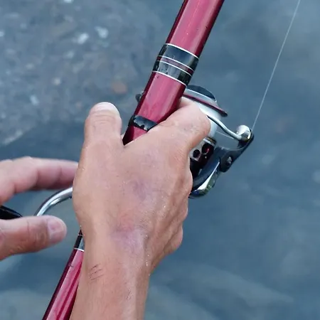 Strandperle In Premium Lage Am Fuer Urlaub Und Workation Mit Hundestrand