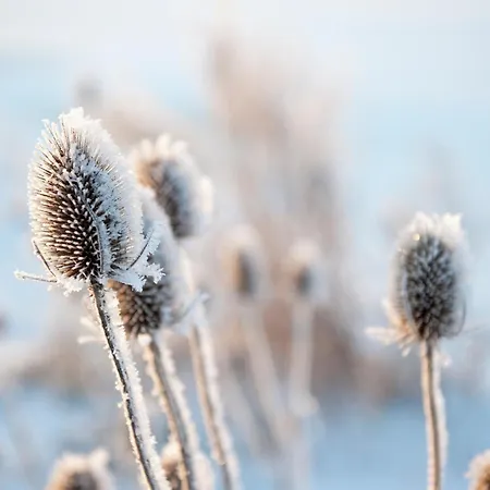 בית נופש Strandperle In Premium Lage Am Fuer Urlaub Und Workation Mit Hundestrand *