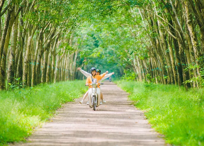 Strandperle In Premium Lage Am Fuer Urlaub Und Workation Mit Hundestrand *