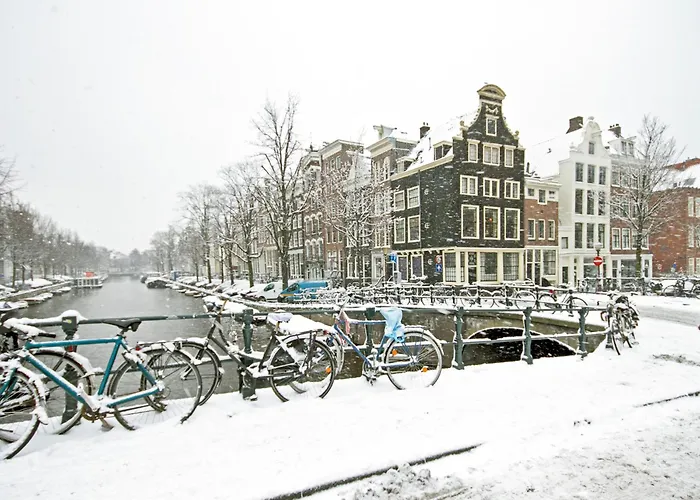 Strandperle In Premium Lage Am Fuer Urlaub Und Workation Mit Hundestrand * Lathum