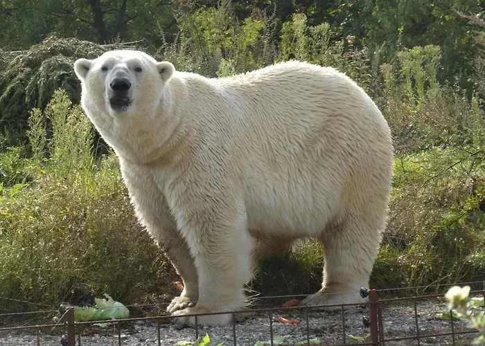 Strandperle In Premium Lage Am Fuer Urlaub Und Workation Mit Hundestrand Semesterbostad