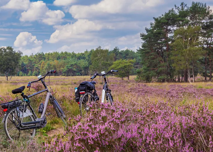 Strandperle In Premium Lage Am Fuer Urlaub Und Workation Mit Hundestrand * Lathum