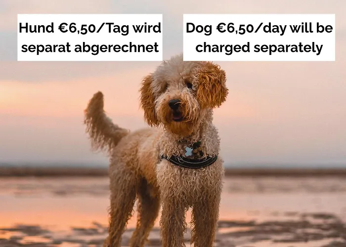 Strandperle In Premium Lage Am Fuer Urlaub Und Workation Mit Hundestrand * Lathum